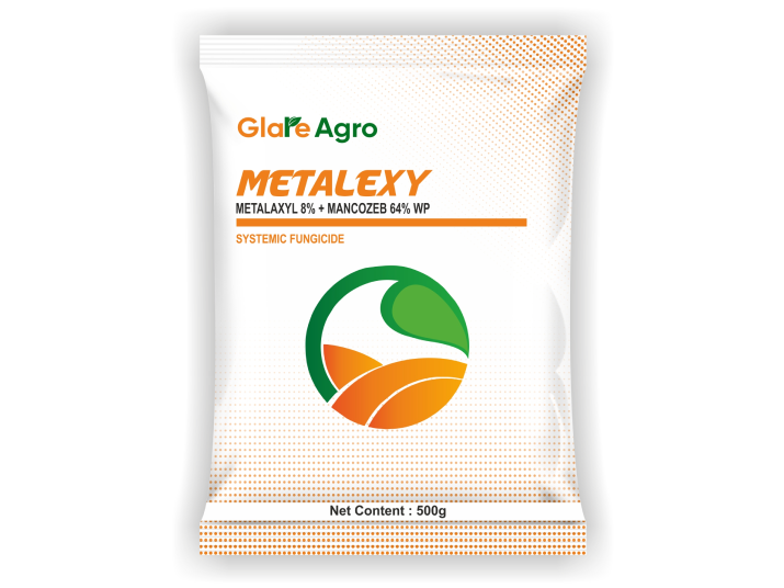 मेटालेक्सी