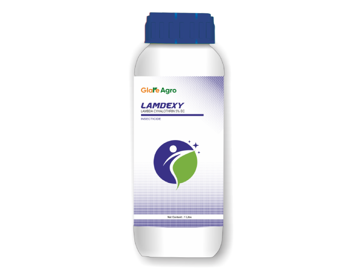 लैम्डेक्सी