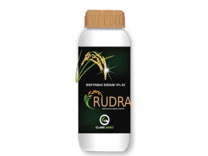 RUDRA