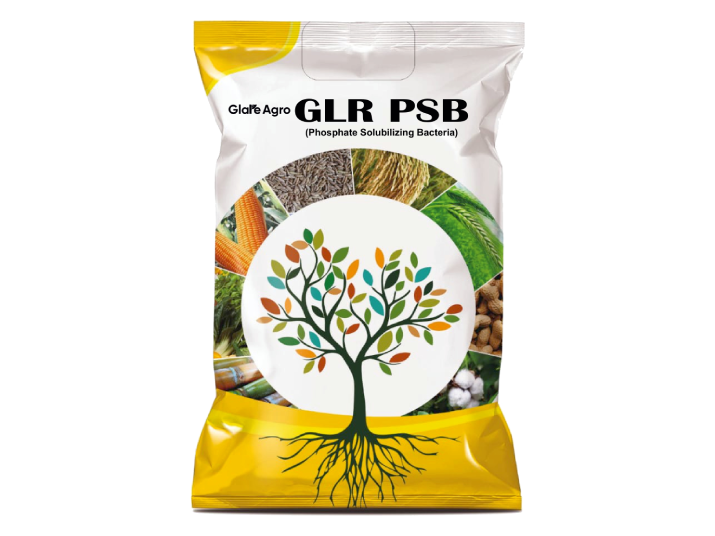 GLR PSB