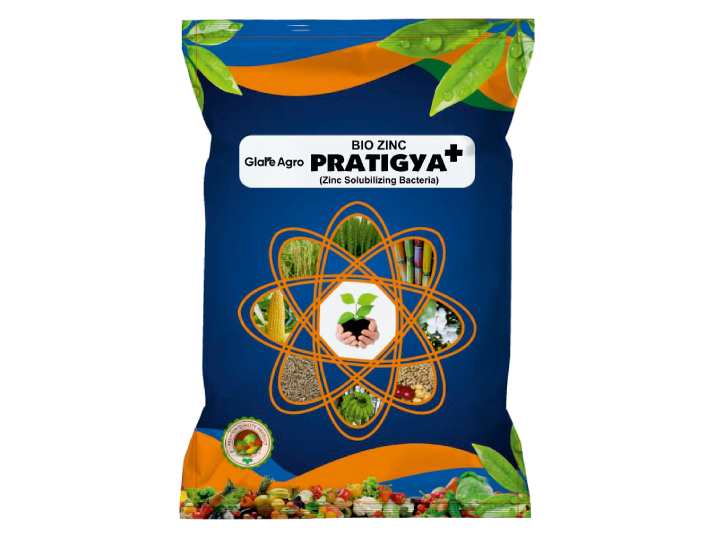 PARTIGYA+