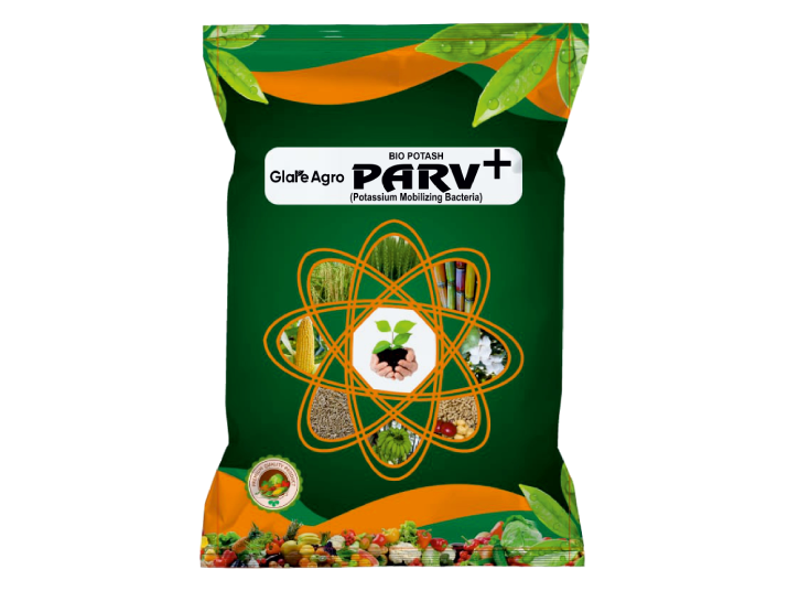 PARV+