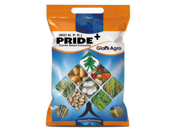 PRIDE+