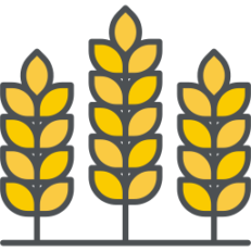 फसल के बीज