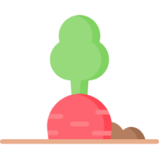 सब्जी के बीज