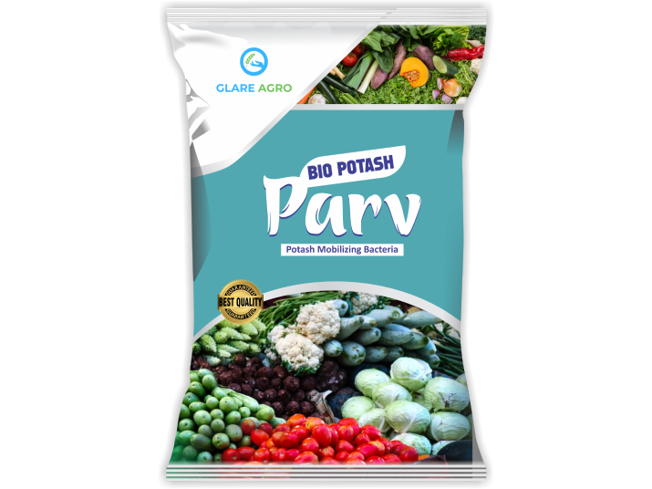 PARV (1)