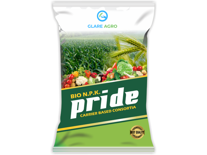 PRIDE
